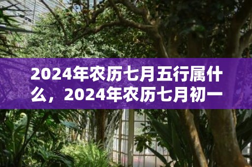 2024年农历七月五行属什么，2024年农历七月初一出生的宝宝是什么星座