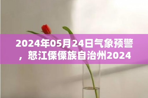 2024年05月24日气象预警，怒江傈僳族自治州2024/05/24小雨最高温度33度