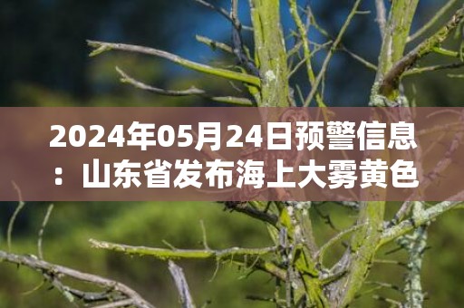 2024年05月24日预警信息：山东省发布海上大雾黄色预警