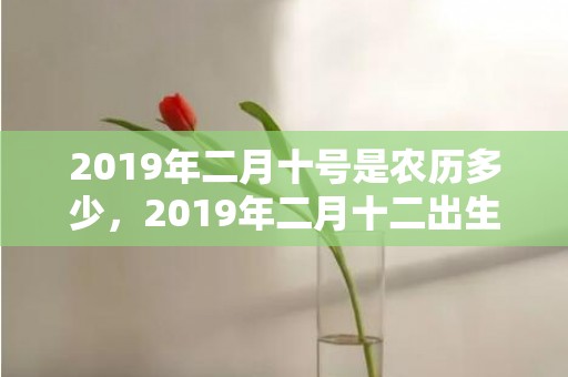 2019年二月十号是农历多少，2019年二月十二出生的男孩怎么样起名字