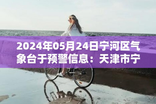 2024年05月24日宁河区气象台于预警信息：天津市宁河区发布雷电黄色预警