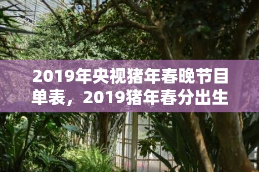 2019年央视猪年春晚节目单表，2019猪年春分出生男孩缺火要怎么起名字