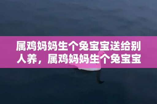 属鸡妈妈生个兔宝宝送给别人养，属鸡妈妈生个兔宝宝好不好