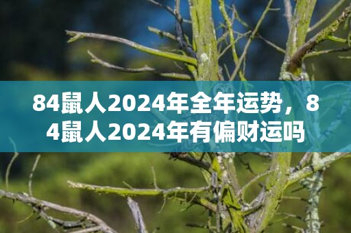 84鼠人2024年全年运势，84鼠人2024年有偏财运吗