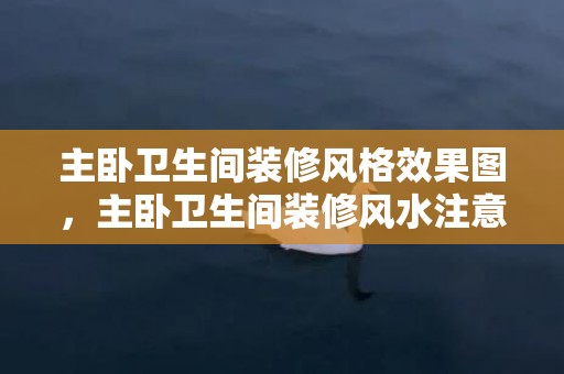 主卧卫生间装修风格效果图，主卧卫生间装修风水注意事项