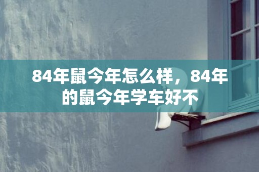 84年鼠今年怎么样，84年的鼠今年学车好不