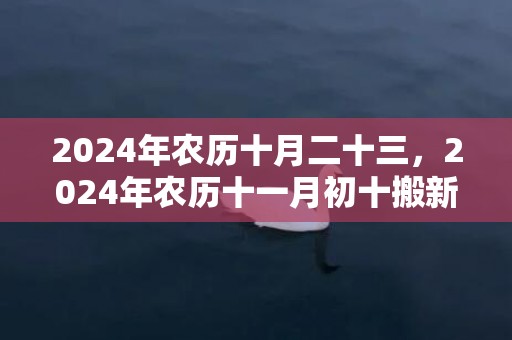 2024年农历十月二十三，2024年农历十一月初十搬新家好不好