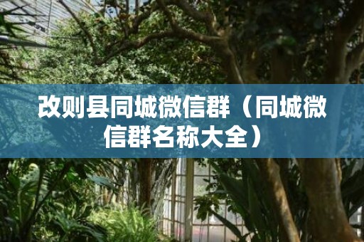 改则县同城微信群（同城微信群名称大全）