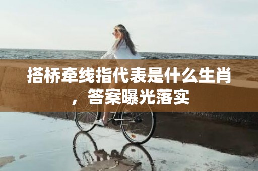 搭桥牵线指代表是什么生肖，答案曝光落实插图