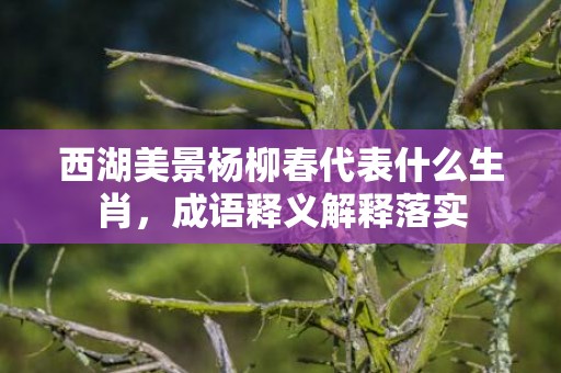 西湖美景杨柳春代表什么生肖，成语释义解释落实