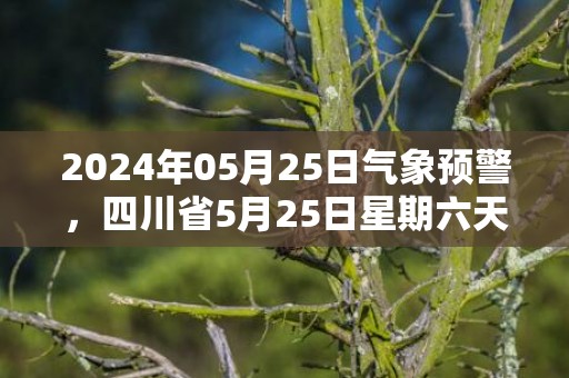 2024年05月25日气象预警，四川省5月25日星期六天气多地降雨最高温35度