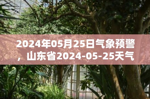 2024年05月25日气象预警，山东省2024-05-25天气多地降雨最高温33度