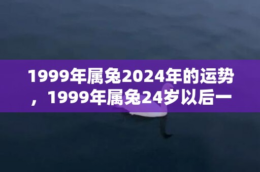 1999年属兔2024年的运势，1999年属兔24岁以后一生命运