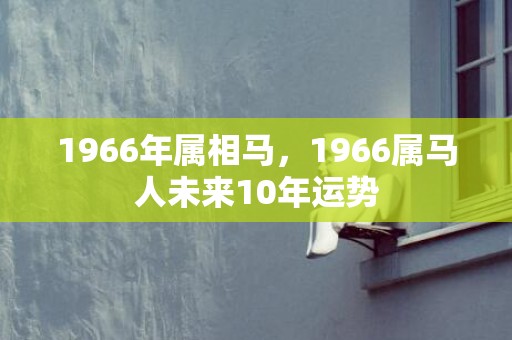 1966年属相马，1966属马人未来10年运势