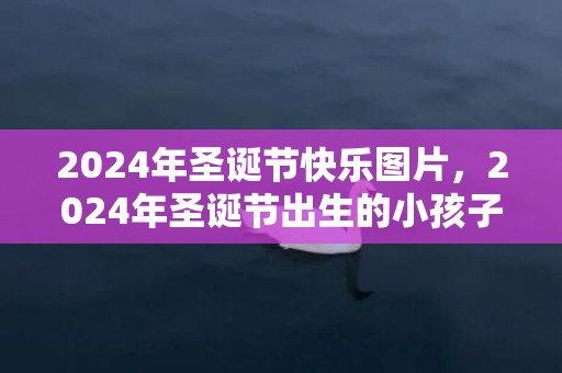 2024年圣诞节快乐图片，2024年圣诞节出生的小孩子取乳名