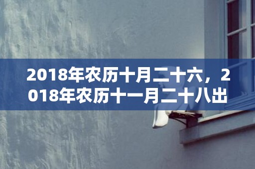 2018年农历十月二十六，2018年农历十一月二十八出生的男孩起名大全