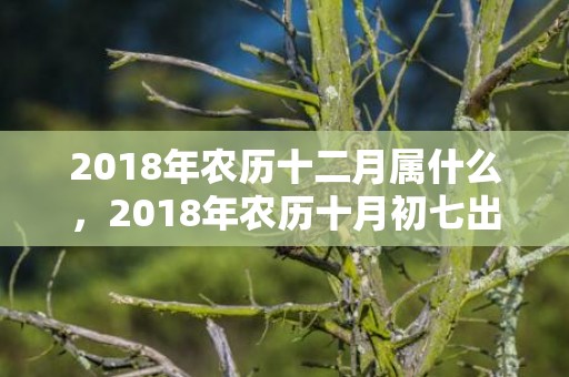 2018年农历十二月属什么，2018年农历十月初七出生女孩五行取名大全