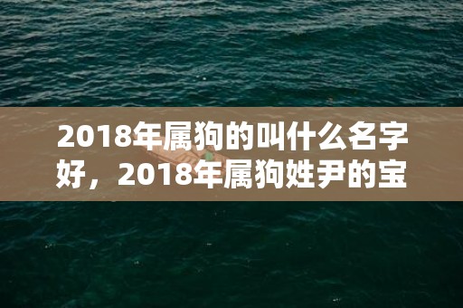 2018年属狗的叫什么名字好，2018年属狗姓尹的宝宝名字大全，狗年尹姓宝宝起名