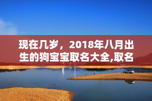 现在几岁，2018年八月出生的狗宝宝取名大全,取名有哪些讲究？