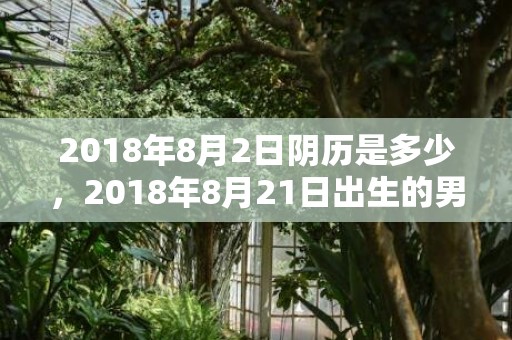 2018年8月2日阴历是多少，2018年8月21日出生的男宝宝怎么取名？这天的卦象好吗？