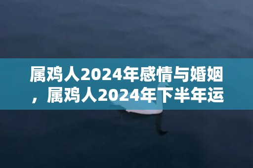 属鸡人2024年感情与婚姻，属鸡人2024年下半年运势及运程