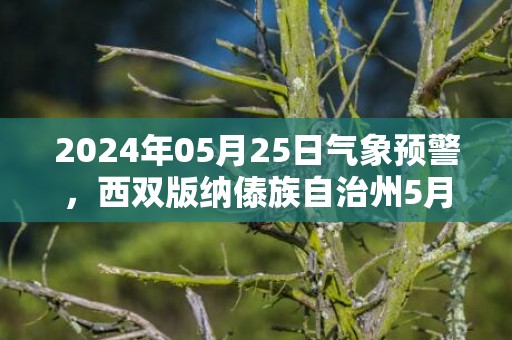 2024年05月25日气象预警，西双版纳傣族自治州5月25日星期六中雨转小雨最高气温29度