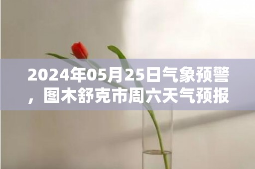 2024年05月25日气象预警，图木舒克市周六天气预报 大部多云转小雨