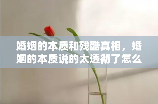 婚姻的本质和残酷真相，婚姻的本质说的太透彻了怎么办