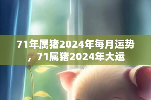 71年属猪2024年每月运势，71属猪2024年大运