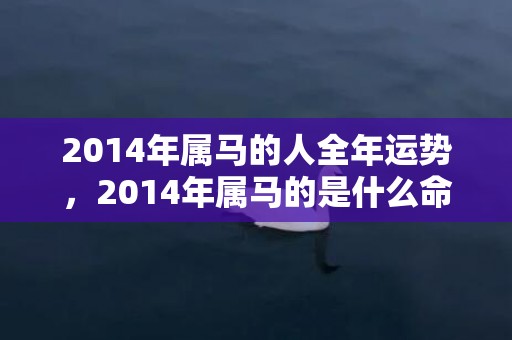 2014年属马的人全年运势，2014年属马的是什么命