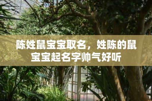 陈姓鼠宝宝取名，姓陈的鼠宝宝起名字帅气好听