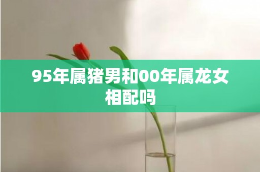 95年属猪男和00年属龙女相配吗