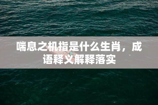 喘息之机指是什么生肖，成语释义解释落实插图