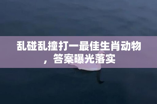 乱碰乱撞打一最佳生肖动物，答案曝光落实