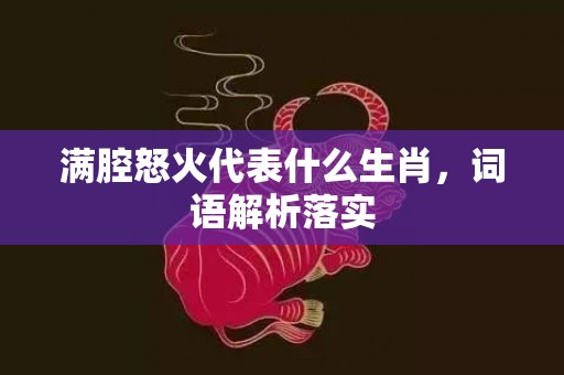 满腔怒火代表什么生肖，词语解析落实