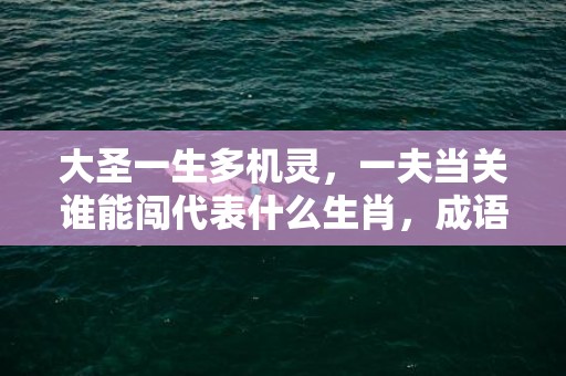 大圣一生多机灵，一夫当关谁能闯代表什么生肖，成语解释落实