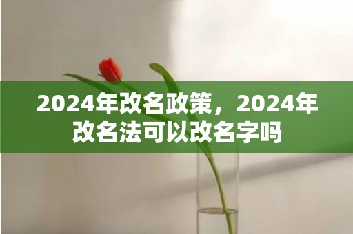 2024年改名政策，2024年改名法可以改名字吗