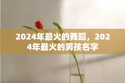 2024年最火的舞蹈，2024年最火的男孩名字