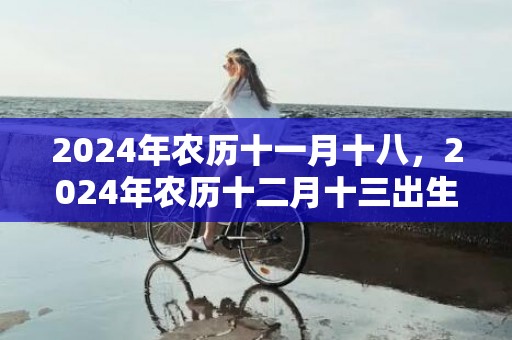 2024年农历十一月十八，2024年农历十二月十三出生的女孩八字取名