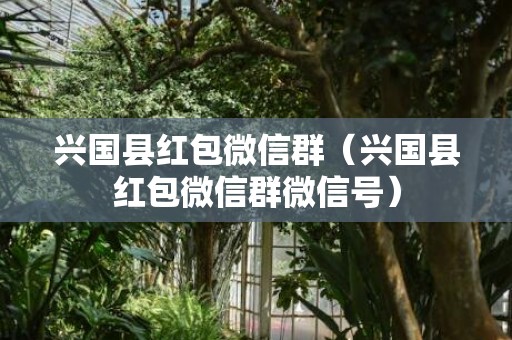 兴国县红包微信群（兴国县红包微信群微信号）