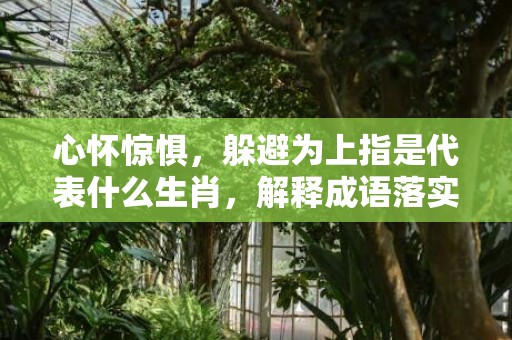 心怀惊惧，躲避为上指是代表什么生肖，解释成语落实释义插图