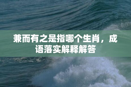 兼而有之是指哪个生肖，成语落实解释解答插图