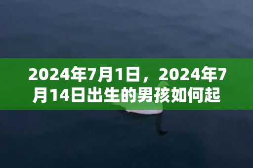 2024年7月1日，2024年7月14日出生的男孩如何起名