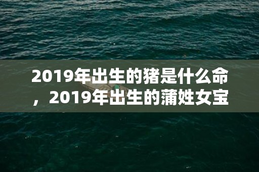 2019年出生的猪是什么命，2019年出生的蒲姓女宝宝怎么起名字，姓蒲女孩寓意好的名字