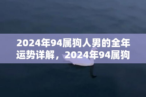 2024年94属狗人男的全年运势详解，2024年94属狗正缘几月出现