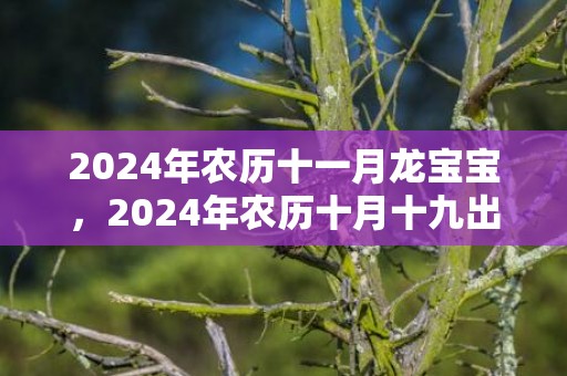 2024年农历十一月龙宝宝，2024年农历十月十九出生的女孩诗经取名