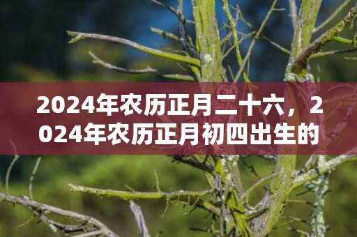 2024年农历正月二十六，2024年农历正月初四出生的男孩取什么名字好