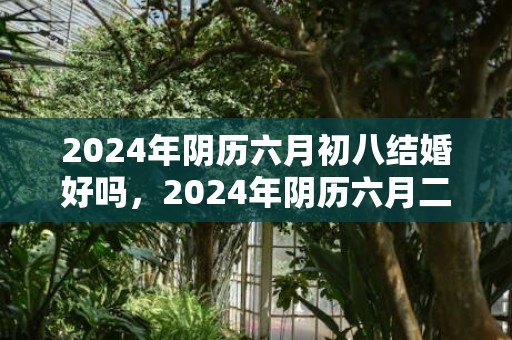 2024年阴历六月初八结婚好吗，2024年阴历六月二十七日出生的女孩是什么命