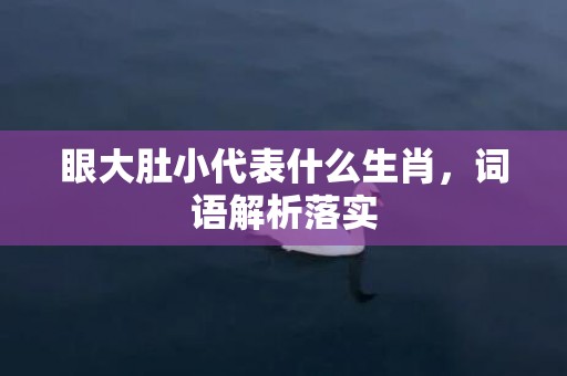 眼大肚小代表什么生肖，词语解析落实插图