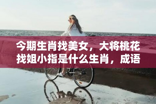 今期生肖找美女，大将桃花找姐小指是什么生肖，成语释义解释落实插图